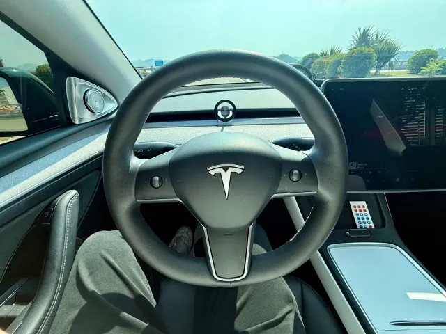 Tesla Model Y — Фото автомобиля 10