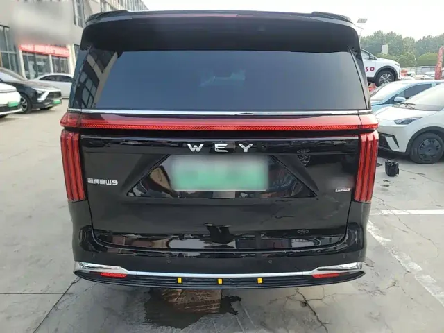 Wey Alpine — Фото автомобиля 5