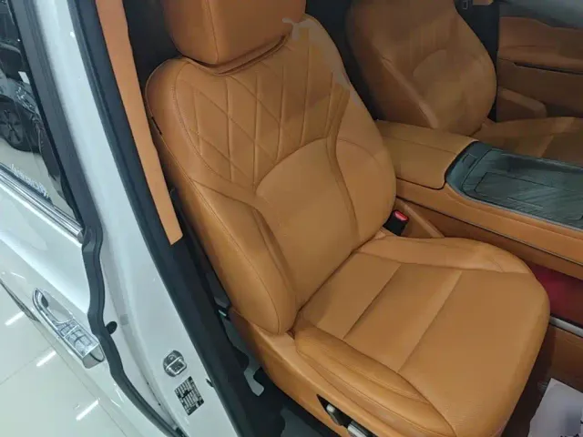 Wey Alpine — Фото автомобиля 24