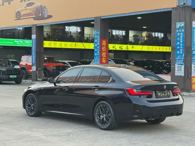 BMW 3 Series — Фото автомобиля 21
