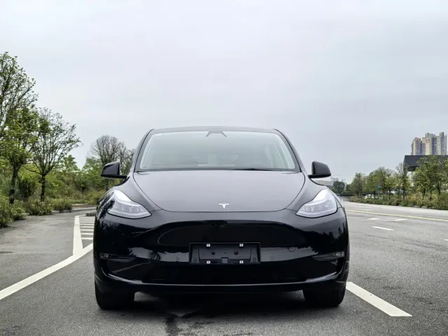 Tesla Model Y — Фото автомобиля 2