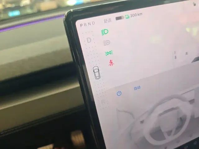 Tesla Model Y — Фото автомобиля 13