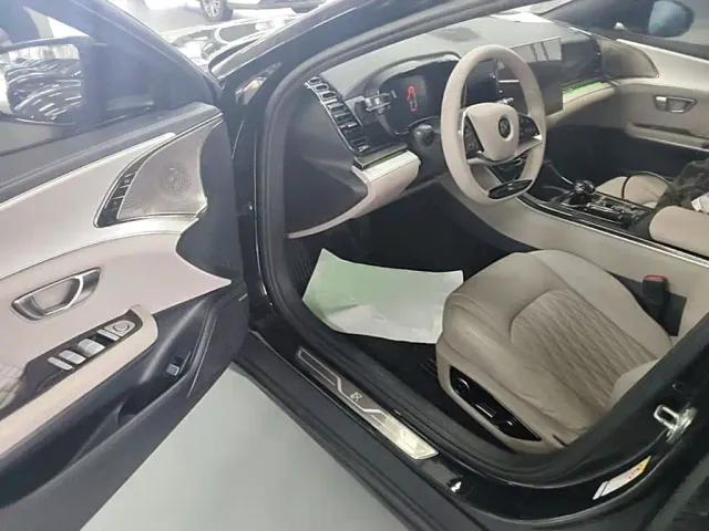 BYD Han — Фото автомобиля 11