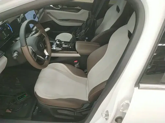 BYD Qin PLUS — Фото автомобиля 10