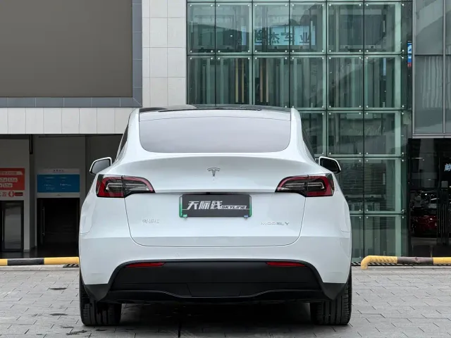 Tesla Model Y — Фото автомобиля 7