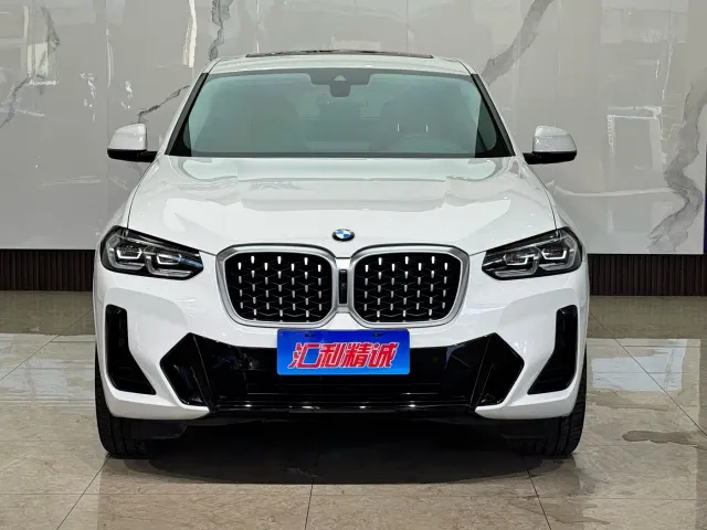 BMW X4 — Фото автомобиля 2