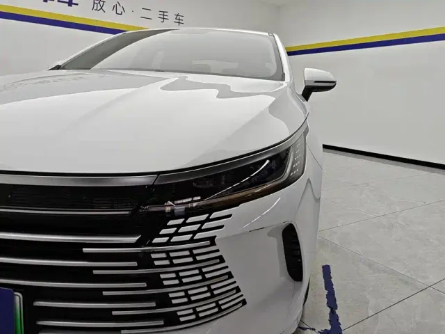 BYD Destroyer 05 — Фото автомобиля 5