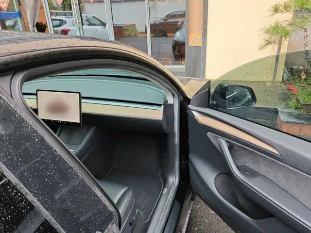 Tesla Model Y — Фото автомобиля 17
