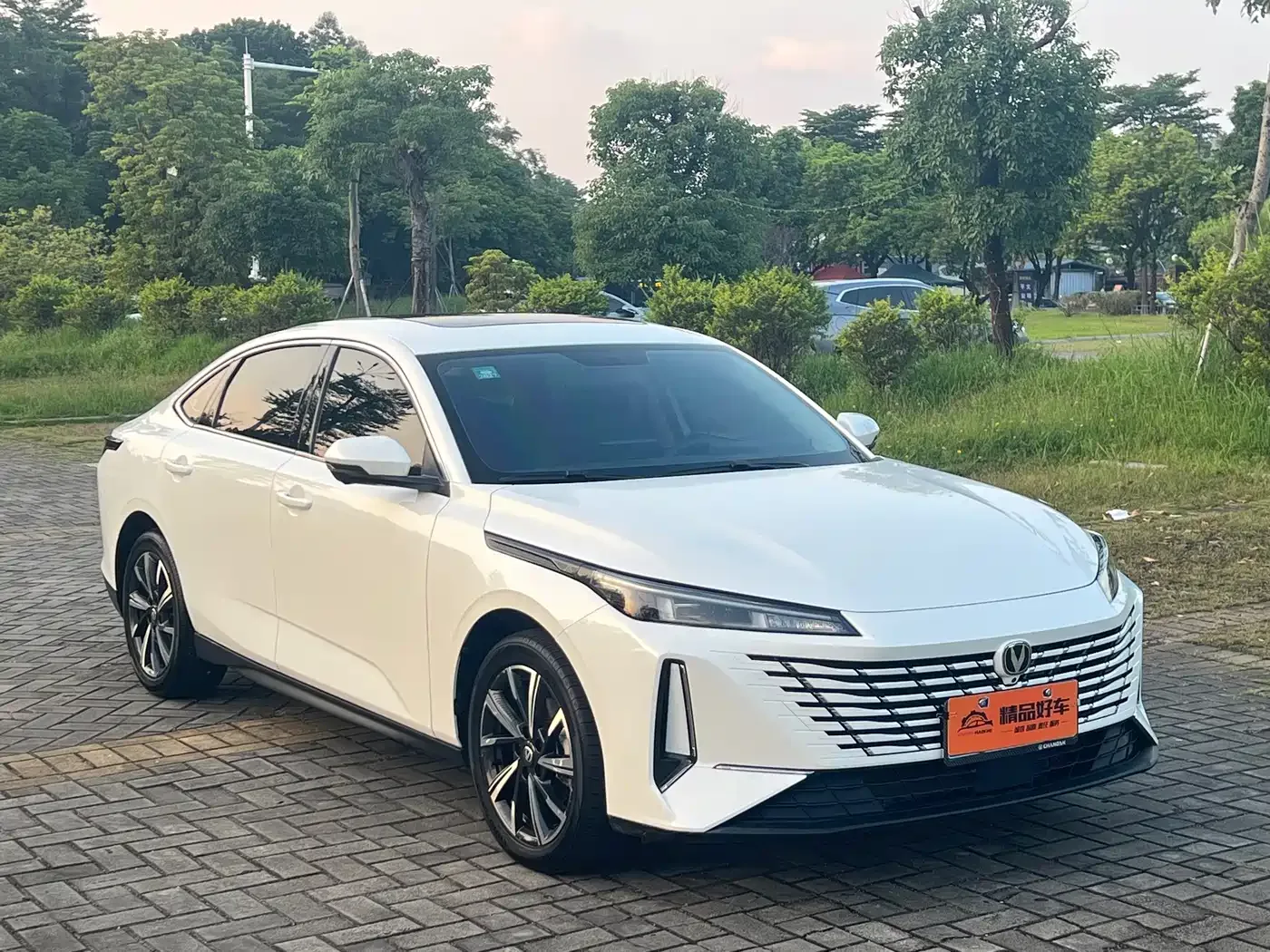 Changan Eado 2025 Blue Whale 1.5T 500Bar Flagship — Фото автомобиля 3