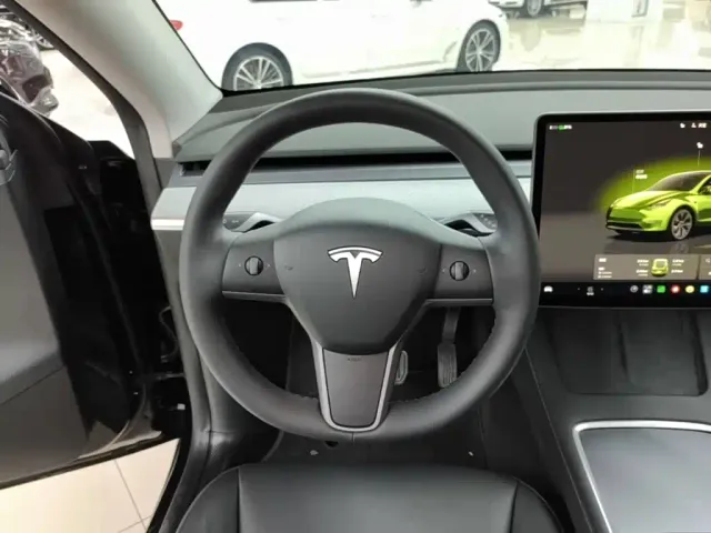 Tesla Model Y — Фото автомобиля 10