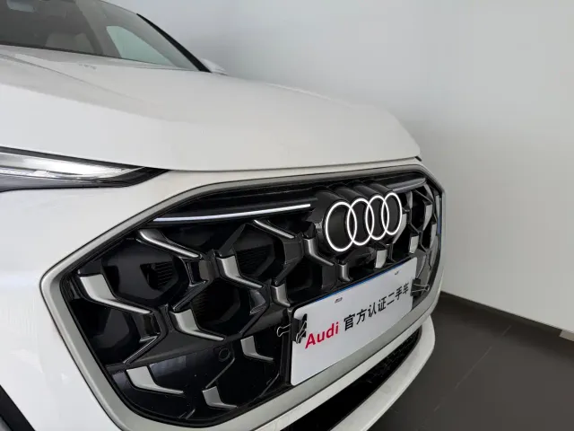 Audi Q5L — Фото автомобиля 22