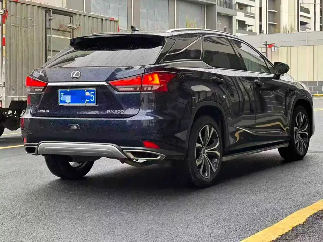 Lexus RX — Фото автомобиля 6