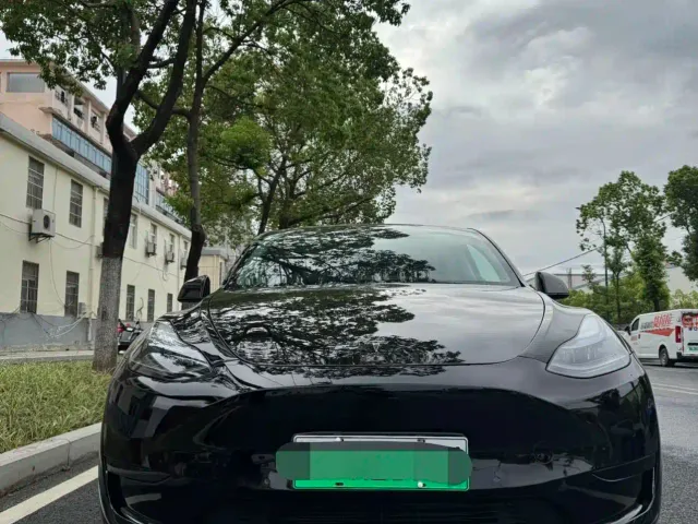 Tesla Model Y — Фото автомобиля 2