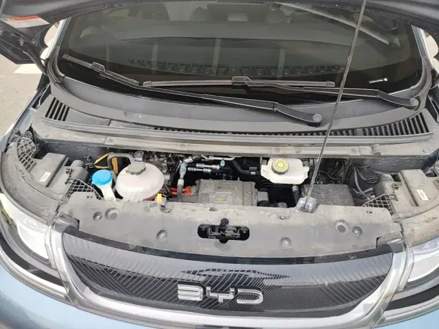 BYD Dolphin — Фото автомобиля 19