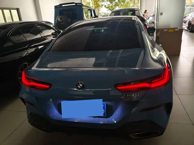BMW 8 Series — Фото автомобиля 11