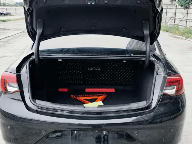 Buick Regal — Фото автомобиля 12
