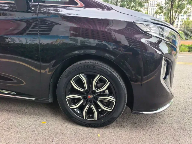 Hongqi HQ9 — Фото автомобиля 19