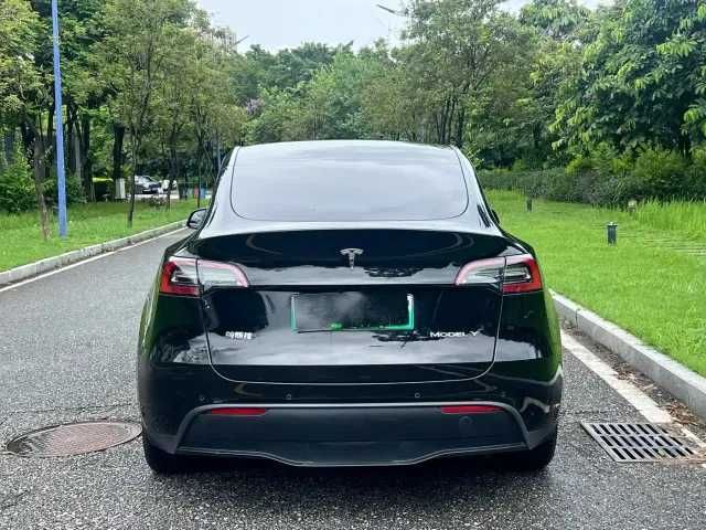 Tesla Model Y — Фото автомобиля 6
