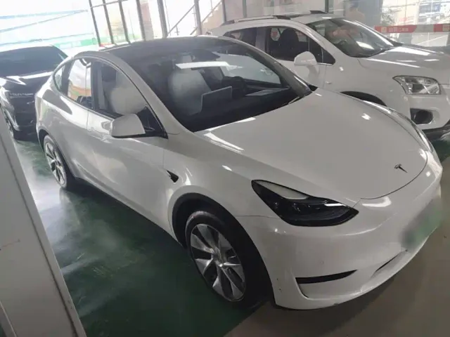 Tesla Model Y — Фото автомобиля 3