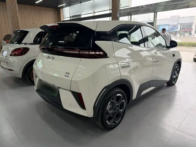 BYD Seagull — Фото автомобиля 12