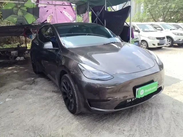 Tesla Model Y — Фото автомобиля 3