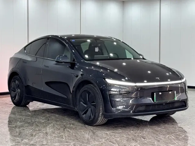 Tesla Model Y — Фото автомобиля 3