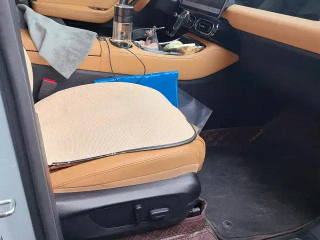 Leapmotor Leapmotor C11 2024 Pure Electric 580 Premium Edition — Фото автомобиля 8