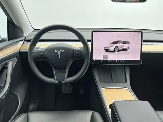 Tesla Model Y — Фото автомобиля 19
