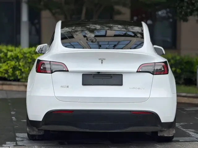 Tesla Model Y — Фото автомобиля 9