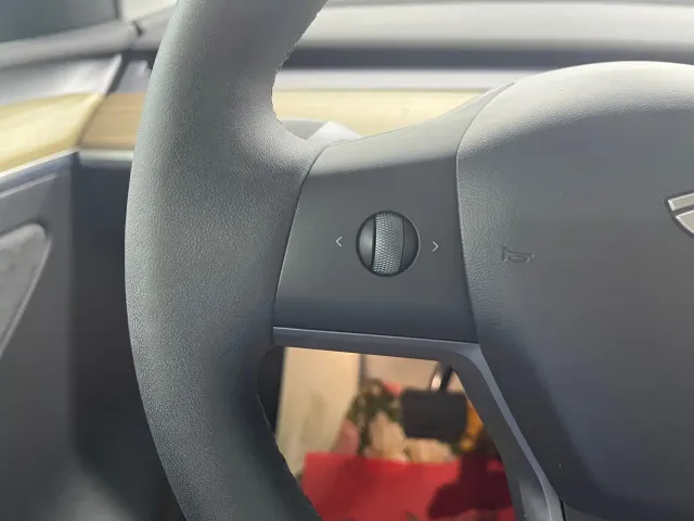 Tesla Model Y — Фото автомобиля 12
