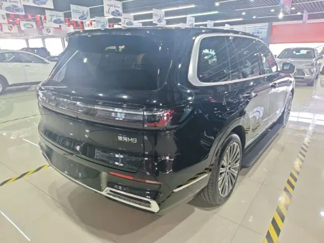 Geely Galaxy M9 — Фото автомобиля 6