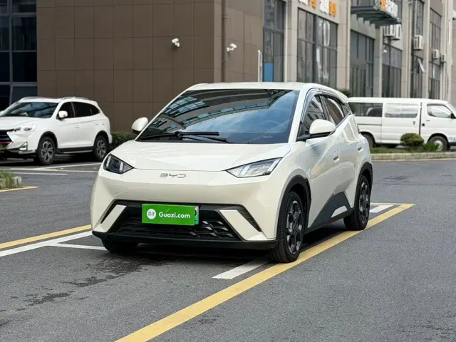 Фотография автомобиля — BYD Seagull