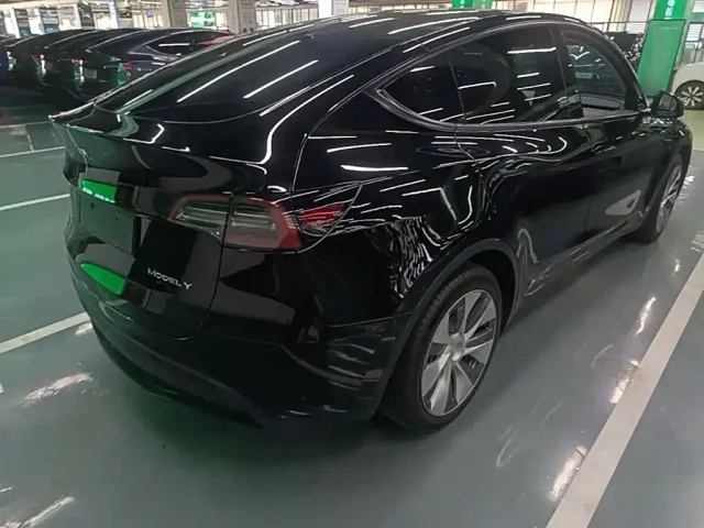 Tesla Model Y — Фото автомобиля 6