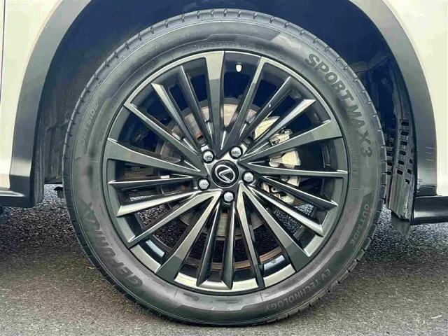 Lexus RX — Фото автомобиля 29