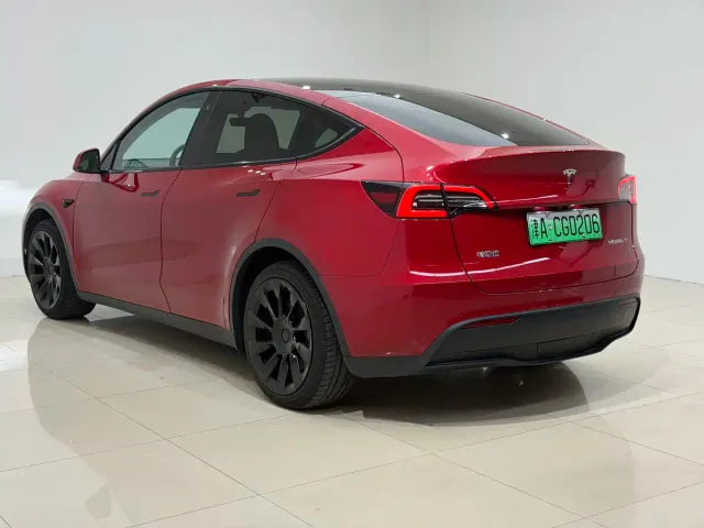 Tesla Model Y — Фото автомобиля 6