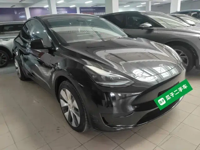 Tesla Model Y — Фото автомобиля 3