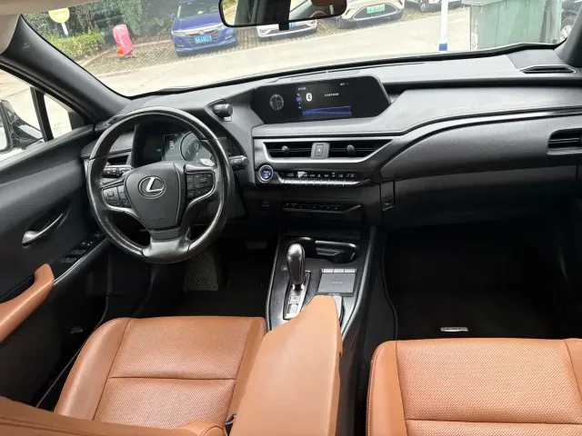 Lexus Lexus UX Electric 2020 300e Pure Enjoyment Edition — Фото автомобиля 11