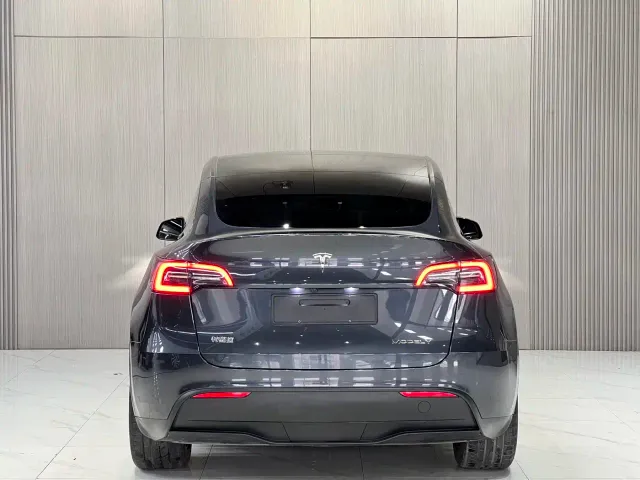 Tesla Model Y — Фото автомобиля 9