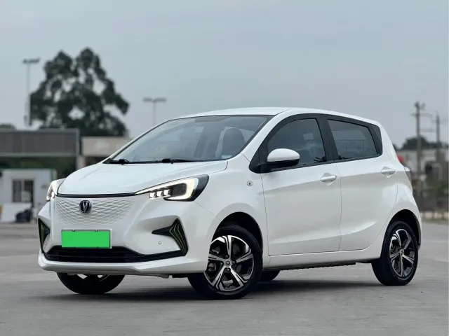 Фотография автомобиля — Changan Benben E-Star