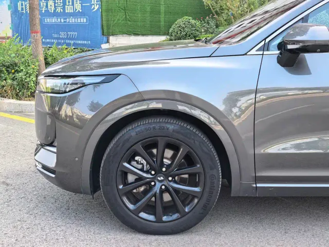 Li Auto Li ONE 2021 Extended Range 6-Seater — Фото автомобиля 19