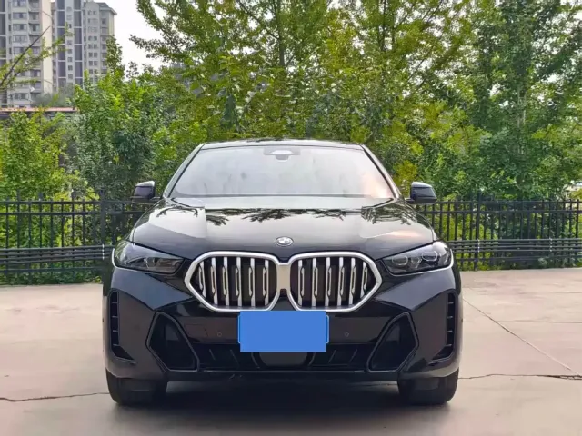 Фотография автомобиля — BMW X6