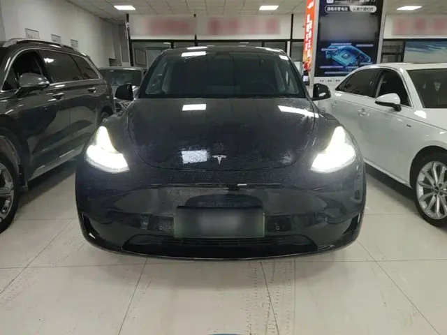 Tesla Model Y — Фото автомобиля 2
