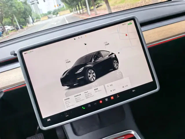 Tesla Model Y — Фото автомобиля 13