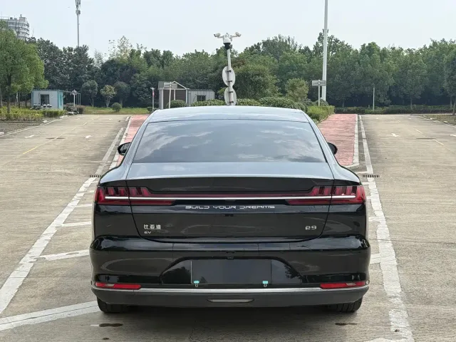 BYD BYD e9 2022 Model Year Business Edition — Фото автомобиля 8