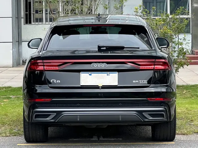 Audi Audi Q8 2023 55 TFSI Luxury Sport — Фото автомобиля 5