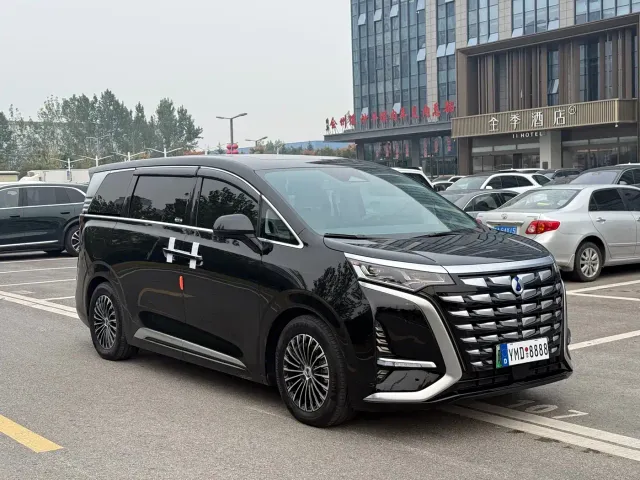 Denza D9 — Фото автомобиля 3