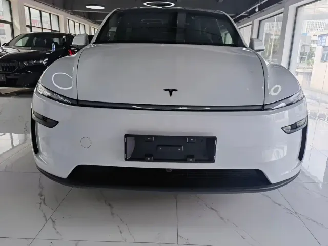 Tesla Model Y — Фото автомобиля 2