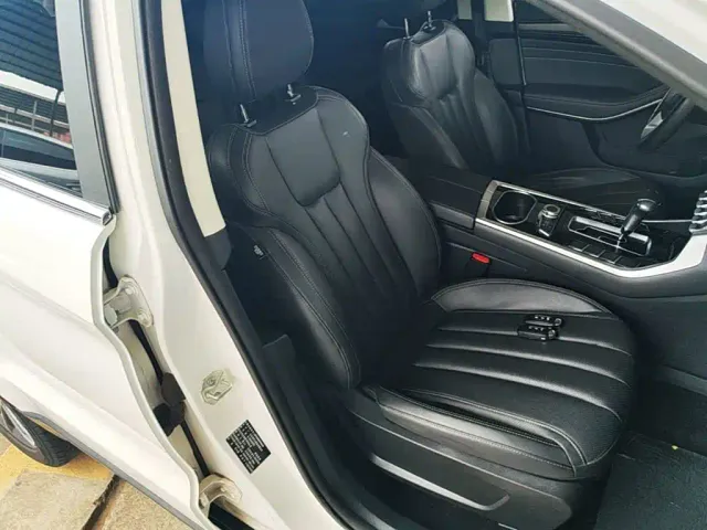 Ford Territory 2020 Territory S EcoBoost 145 CVT Platinum — Фото автомобиля 24
