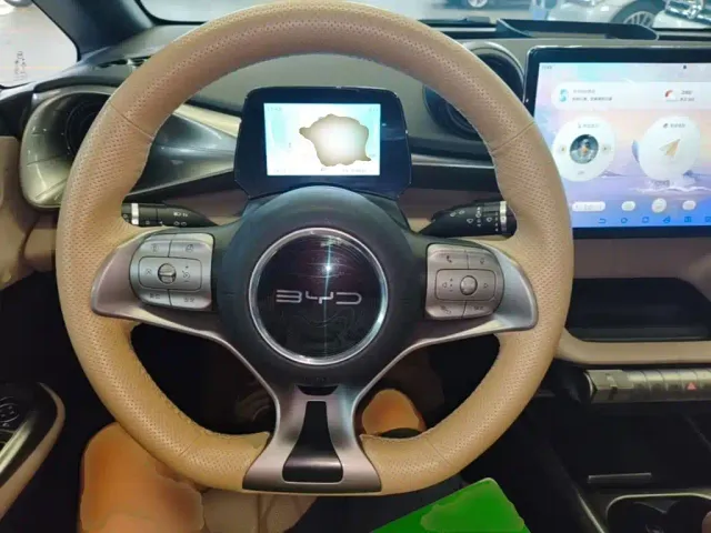 BYD Dolphin — Фото автомобиля 10
