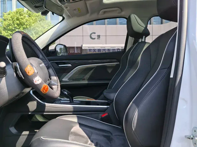 Haval H6 — Фото автомобиля 4